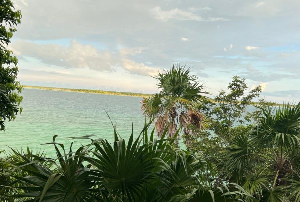 Waterfront lot in Buenavista (Lagoon of Bacalar)